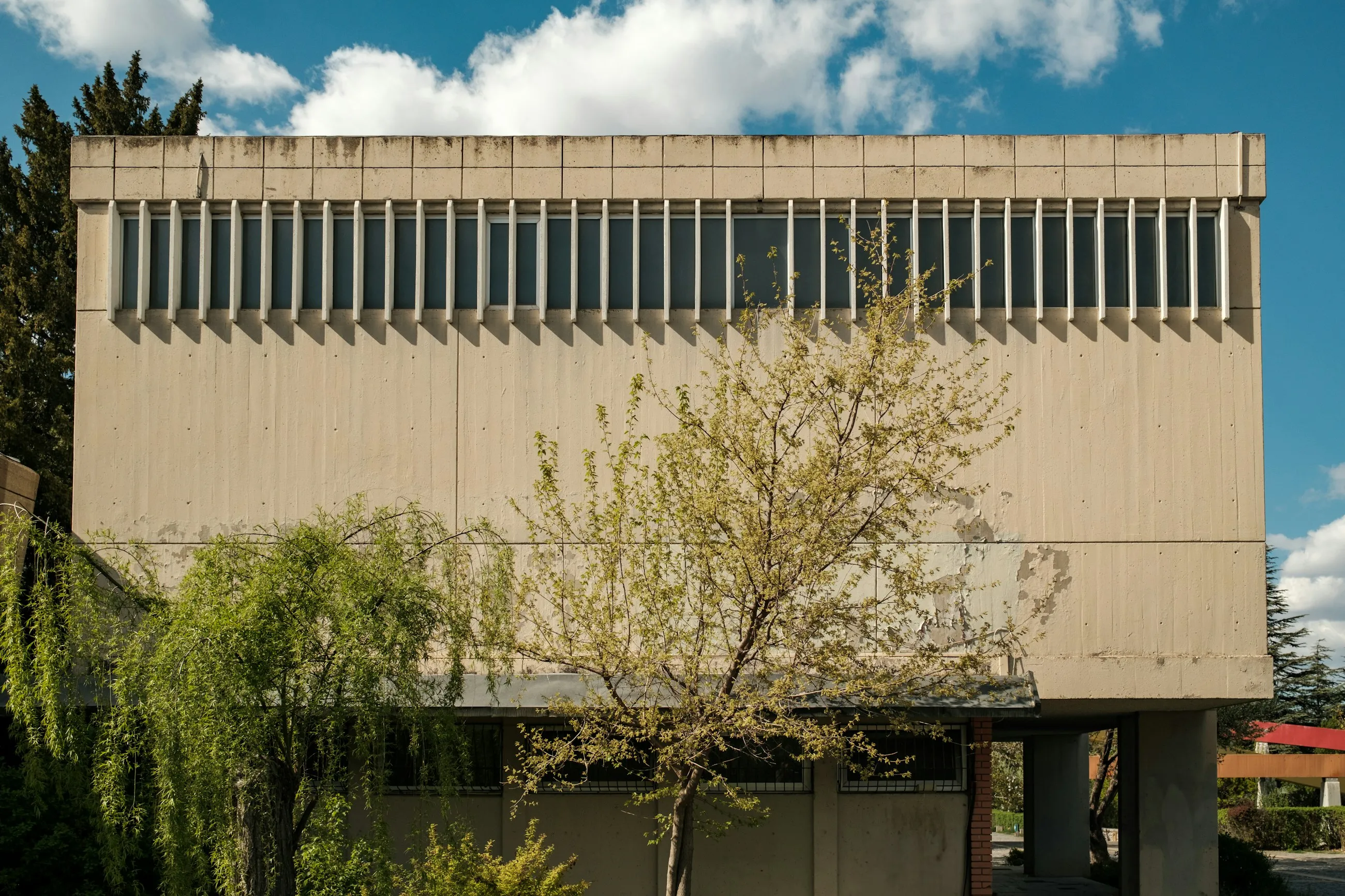 A mid-century concrete civic building seen across trees.