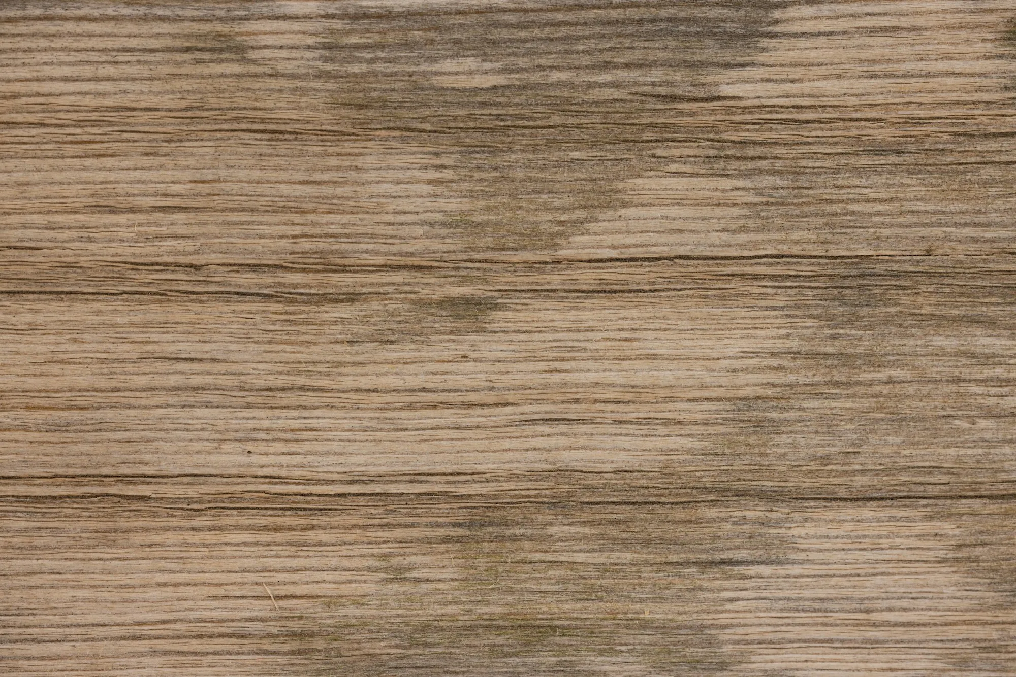 A close view of oak grain running across a sawn timber surface.